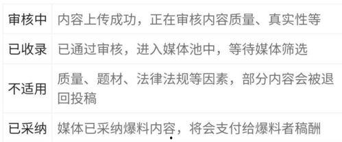 爆料新闻已收录怎么办,独家解析已收录事件背后的真相