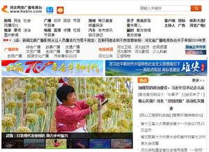 河北电台爆料视频下载